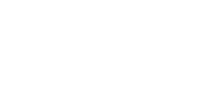 DAD Digital Audio Denmark